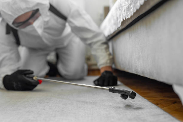 Professional Pest Control technician working in Whitehall, MI