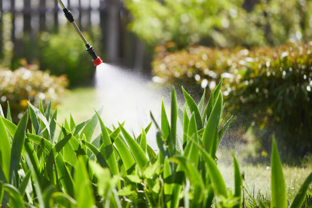 24/7 Emergency Cockroach Control experts in Whitehall, MI