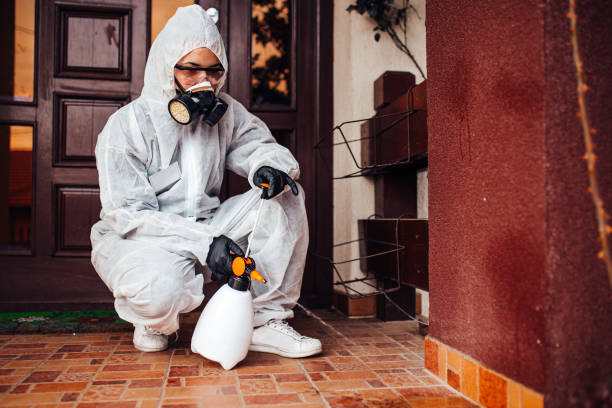 Reliable Cockroach Control contractor in Whitehall, MI by Nex Pest Control