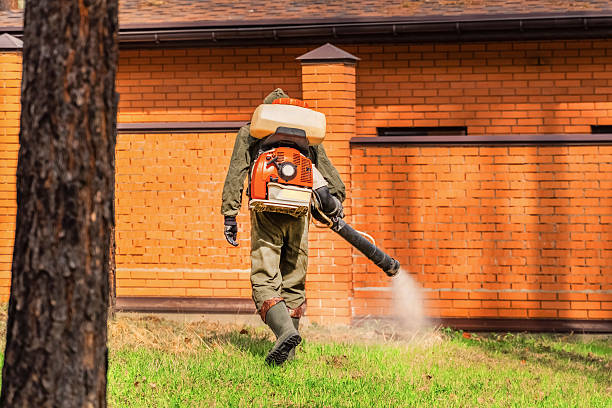 Trusted Termite Control service in Whitehall, MI - Nex Pest Control